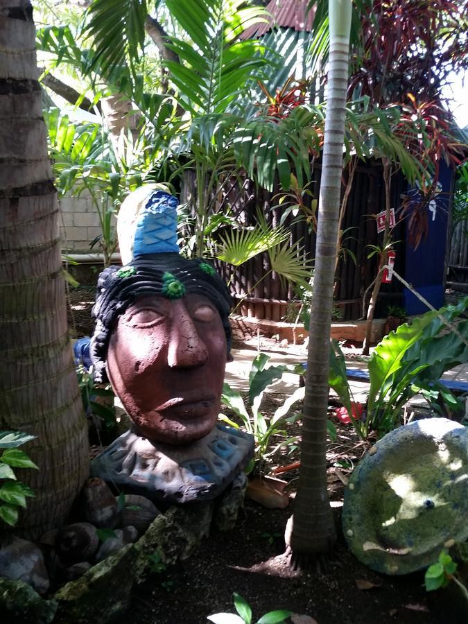 图卢姆 Rancho Tranquilo旅舍 外观 照片