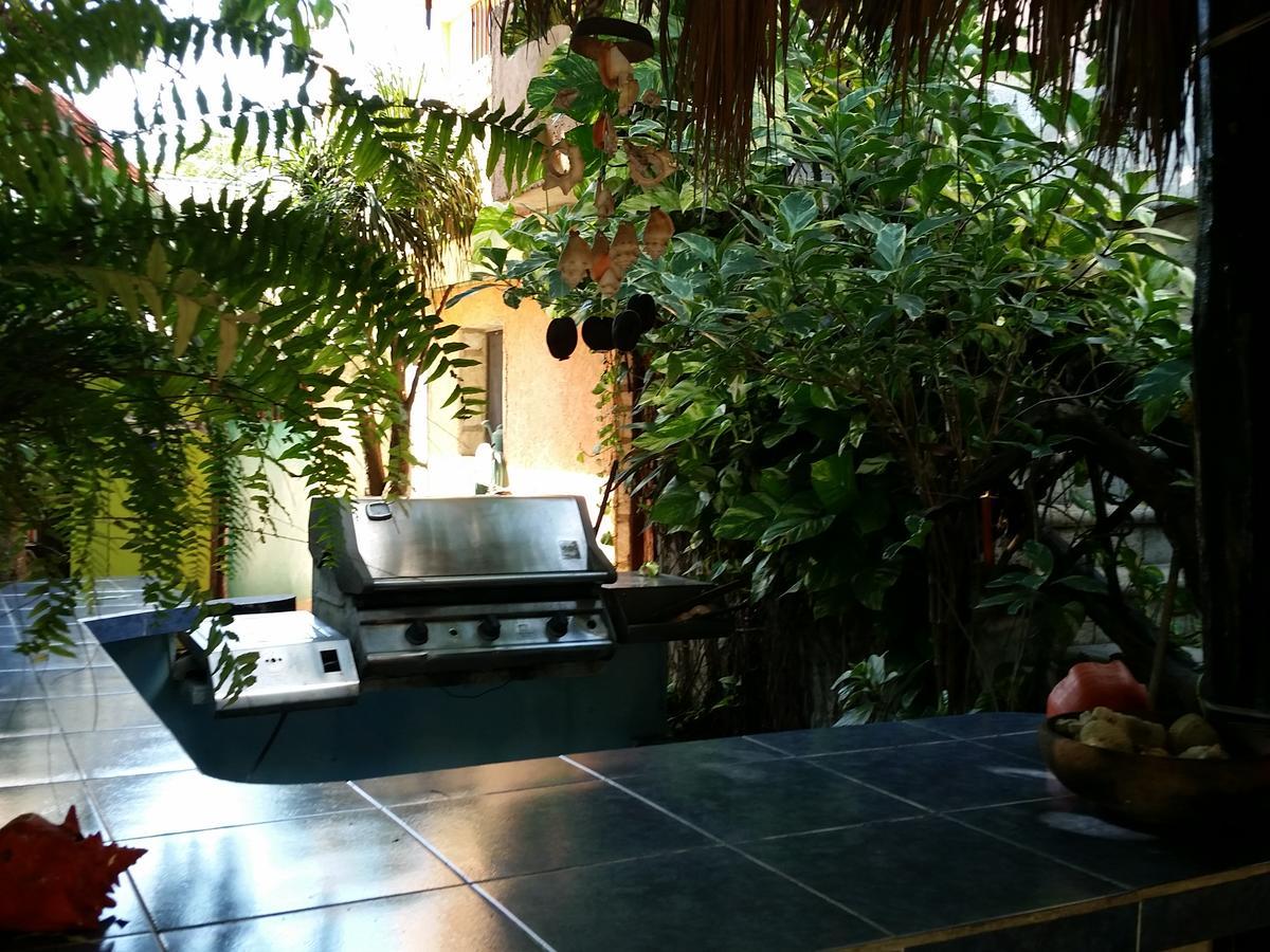 图卢姆 Rancho Tranquilo旅舍 外观 照片